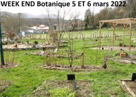 compte rendu